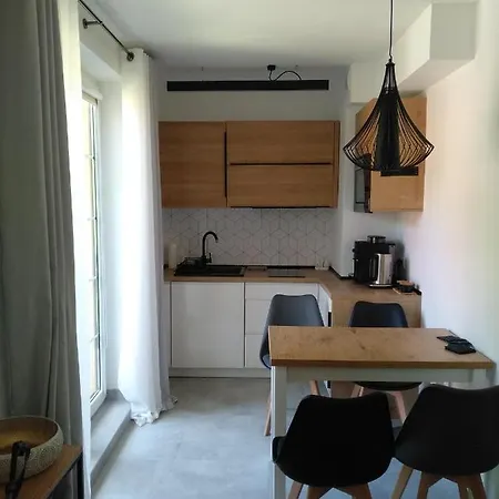 Apartament Pod Swierkami Apartment